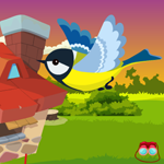 Games4King Cute Bird Escape Walkthrough